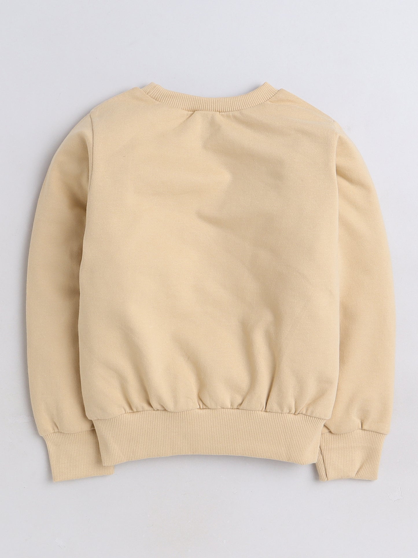 Full Sleeves Tiger Printed Cotton Terry Autumn Winter Sweatshirt