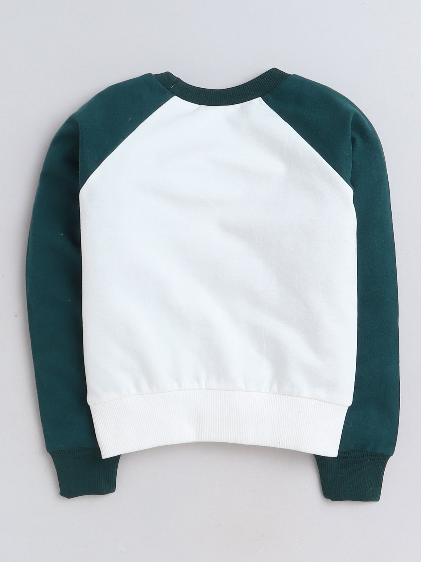 Raglan Full Sleeves Placement Text Printed Cotton Terry Autumn Winter Sweatshirt