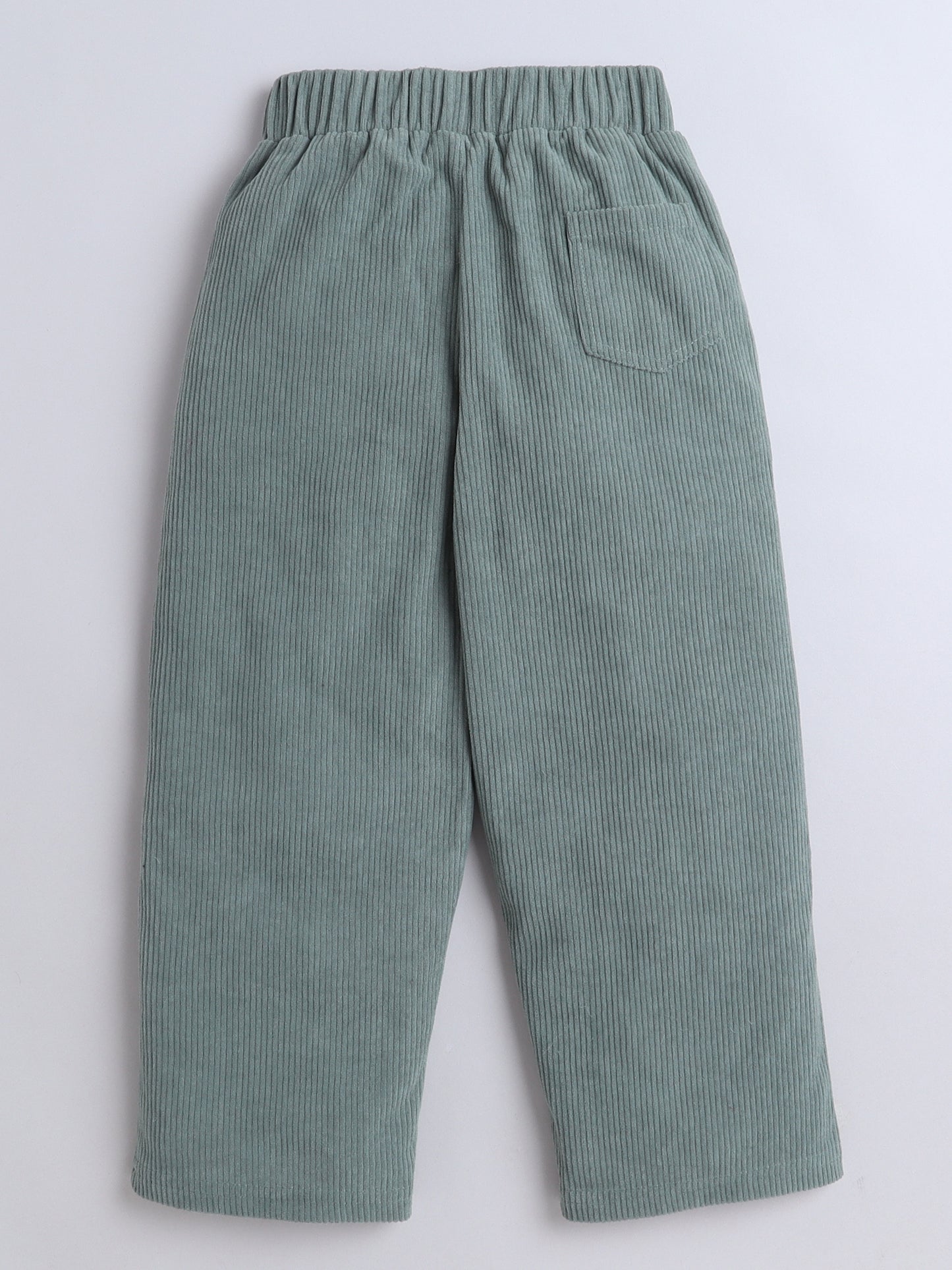 Corduroy 2 Side Pocket And 1 Back Pocket Trouser-Green