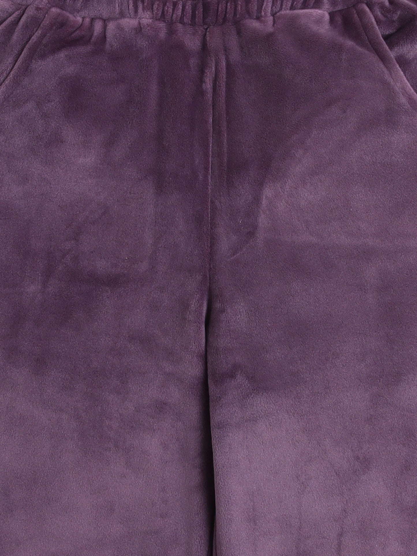 Velvet Full Sleeves Solid Crop Top & Pajama Set - Purple