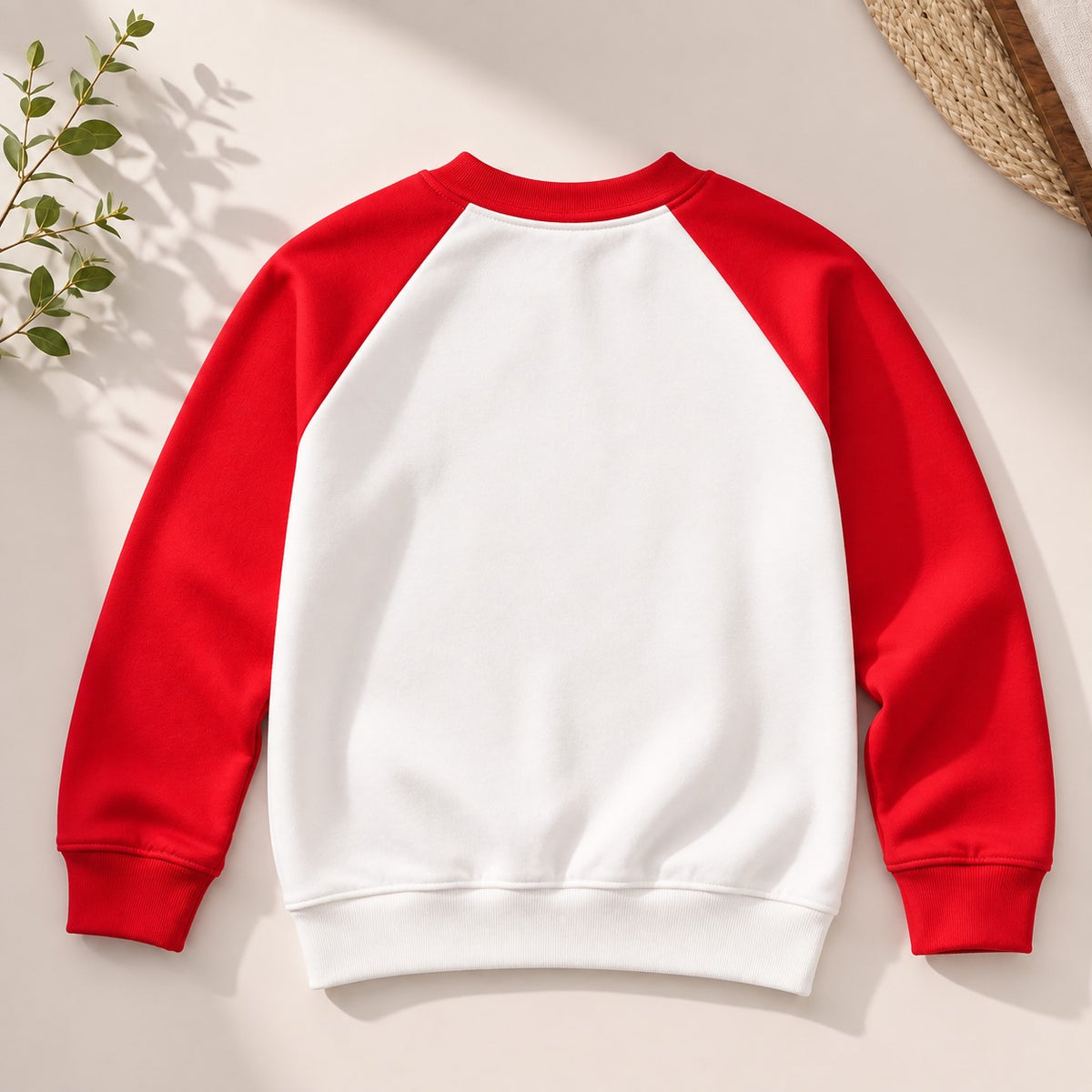 Aww Hunnie Terry Raglan Full Sleeves Round Neck Sweatshirt