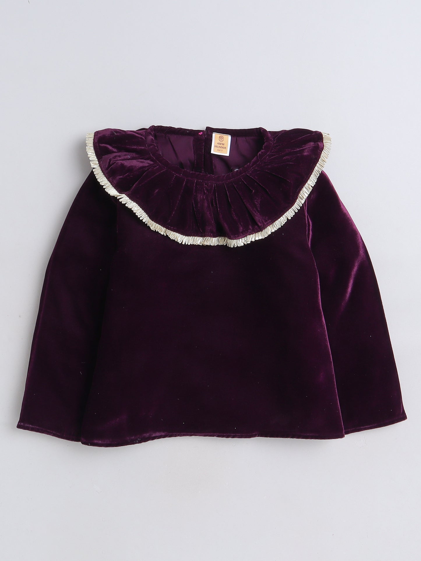 Full Sleeves Neck Frill Detailed Solid Velvet Party Top