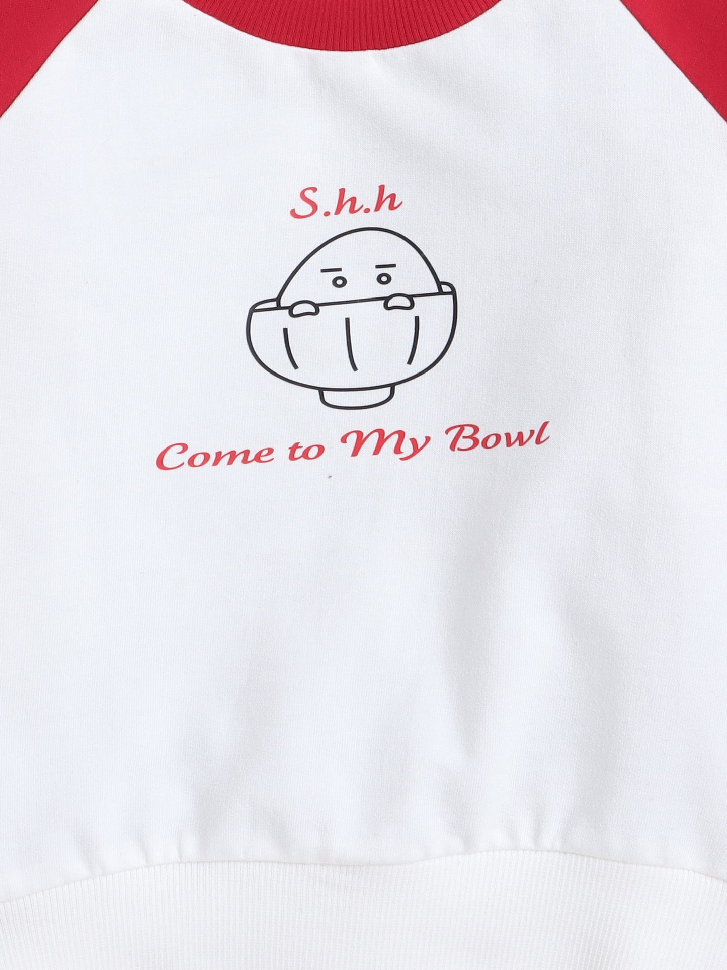 Raglan Full Sleeves Placement Text   Printed Cotton Terry Autumn Winter Sweatshirt