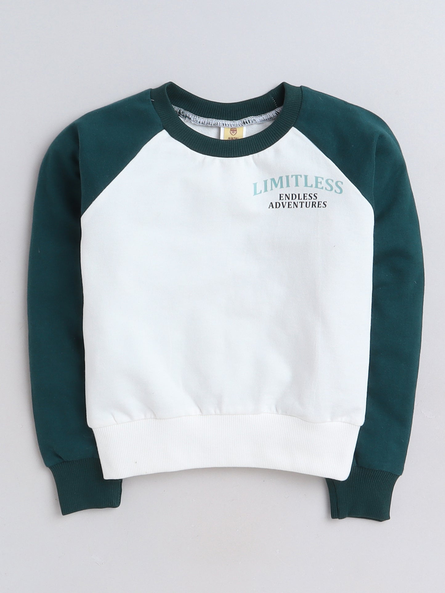 Raglan Full Sleeves Placement Text   Printed Cotton Terry Autumn Winter Sweatshirt