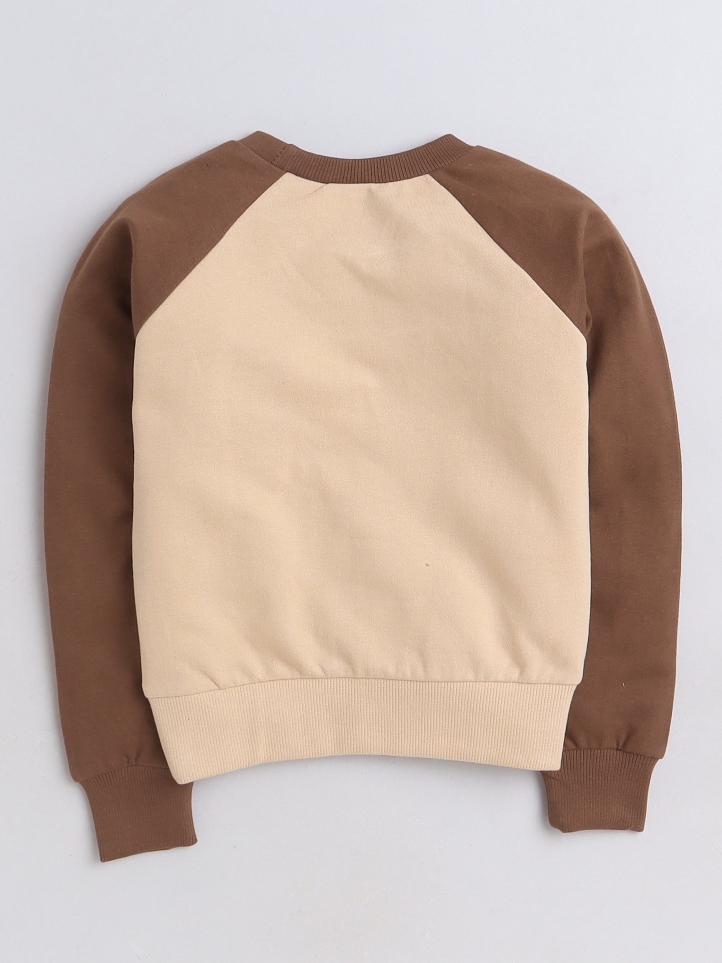 Raglan Full Sleeves Cartoon Rice Cake Printed Cotton Terry Autumn Winter Sweatshirt