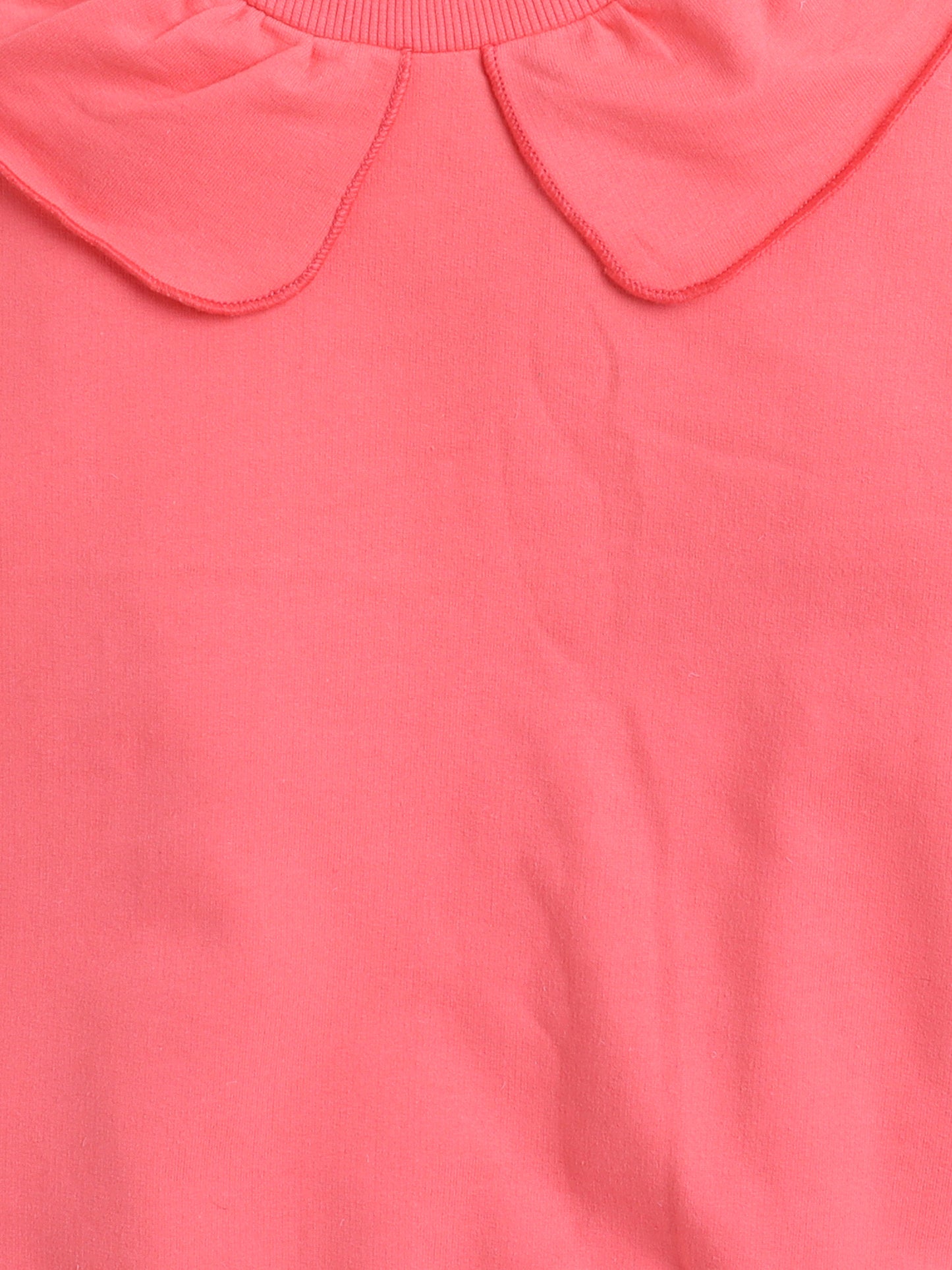 Cotton Terry Full Sleeves Solid Sweatshirt