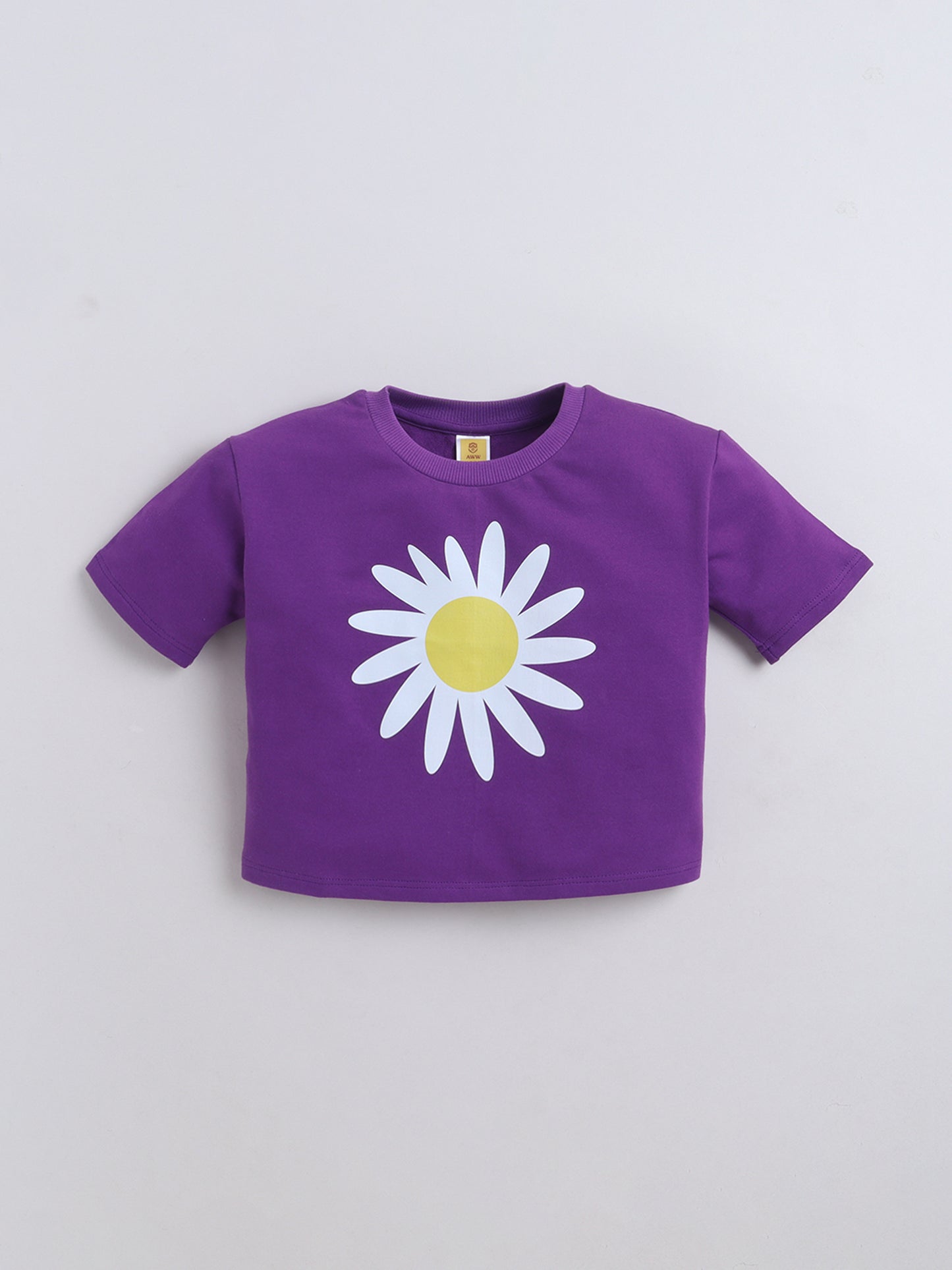 Cotton Terry Half Sleeves Loss Fit T-shirt With Shorts Co Ords