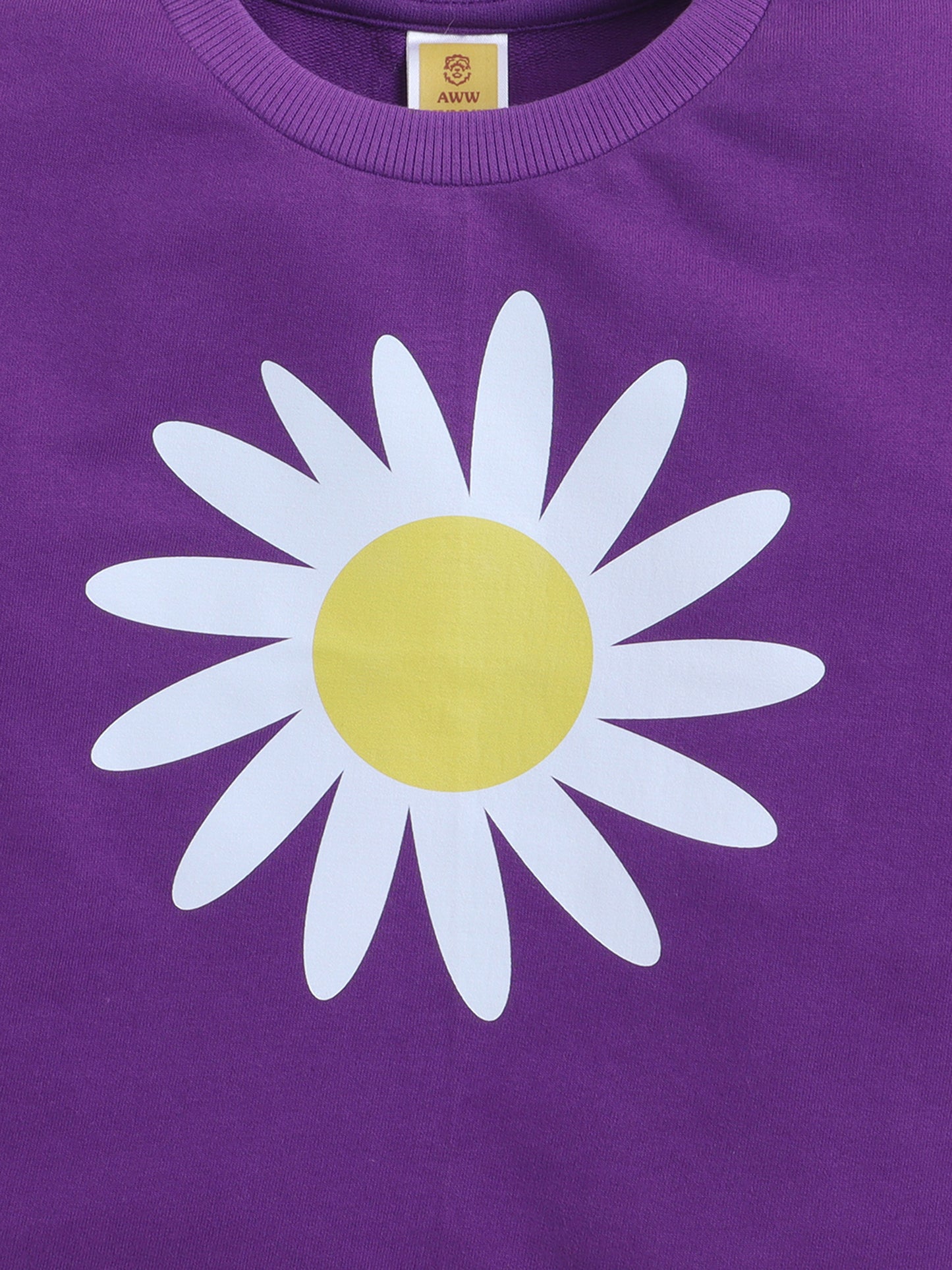 Cotton Terry Half Sleeves Loss Fit T-shirt With Shorts Co Ords